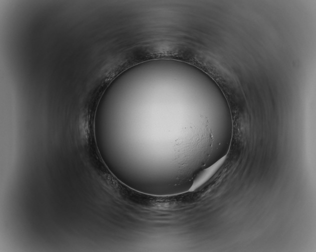 X0000093460746200710121406