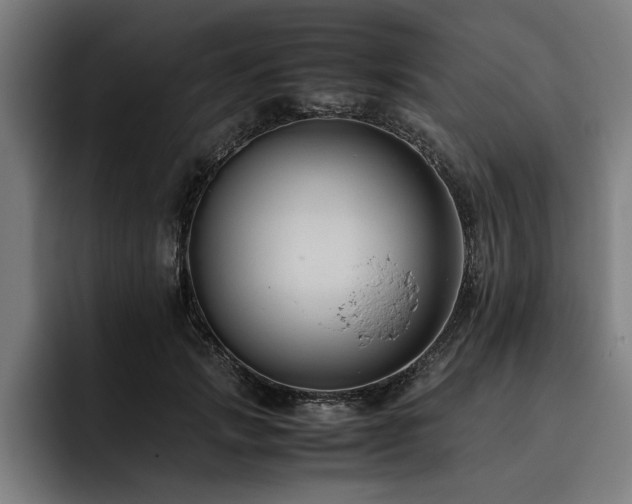 X0000093460749200710121406