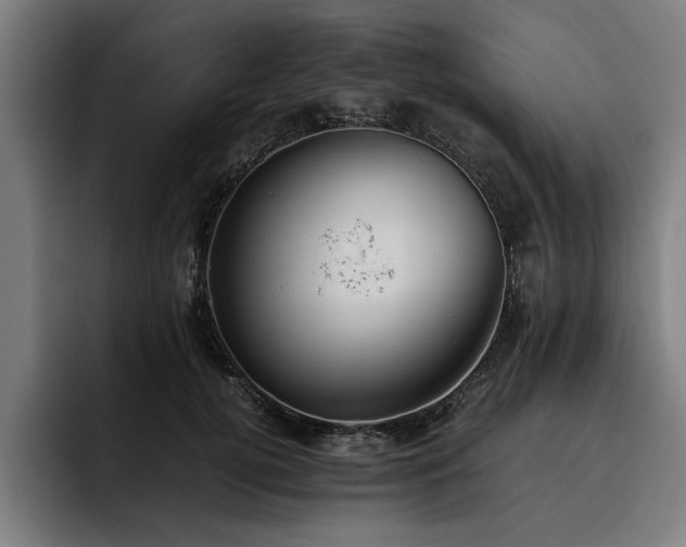 X0000093460752200710121406