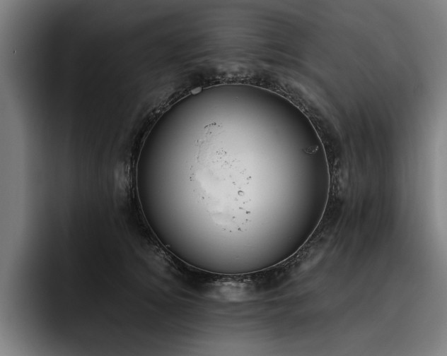 X0000093460756200710121406