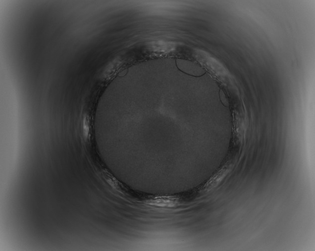 X0000093460758200710121406