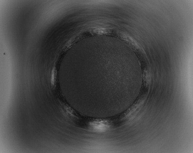 X0000093460760200710121406