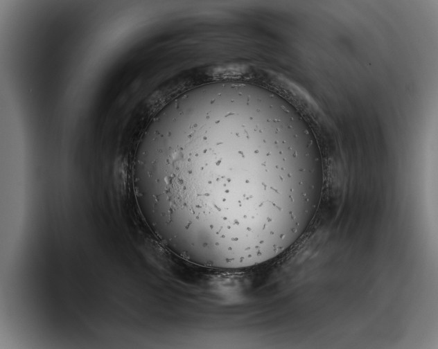 X0000093460761200710121406