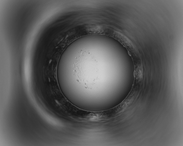 X0000093460764200710121406