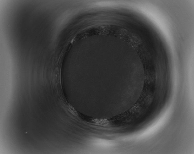 X0000093460766200710121406