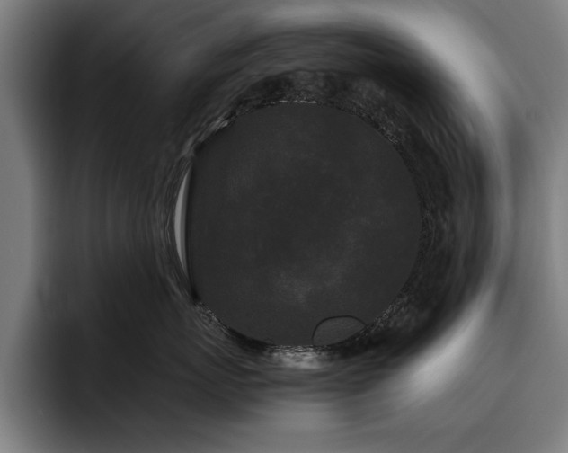 X0000093460767200710121406