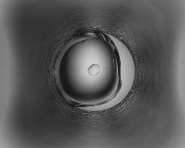 X0000093460769200710121405