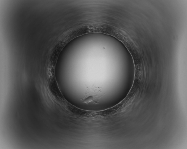 X0000093460770200710121405