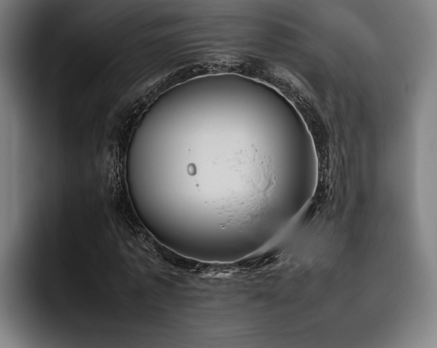 X0000093460773200710121405