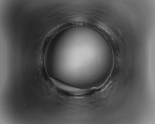 X0000093460775200710121405