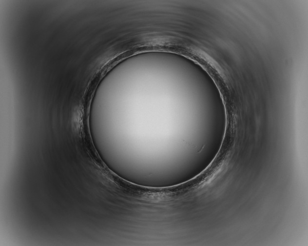 X0000093460778200710121405