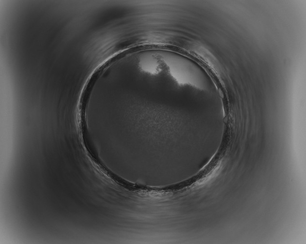 X0000093460779200710121405