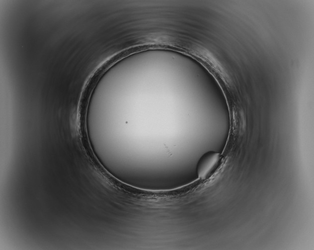 X0000093460780200710121405