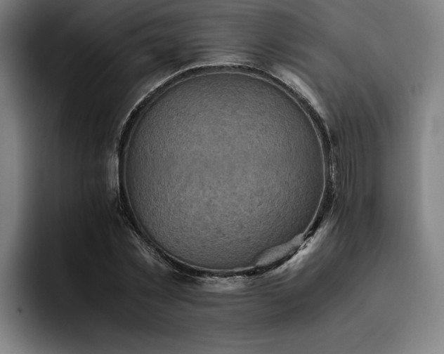 X0000093460781200710121405