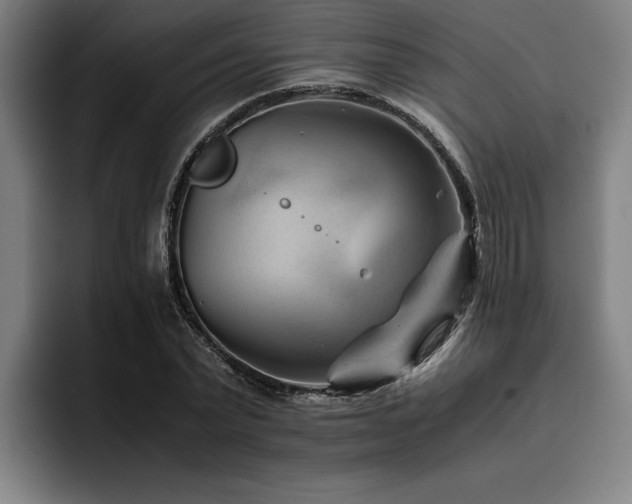 X0000093460783200710121405