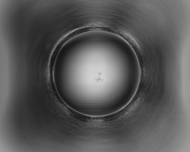 X0000093460784200710121405