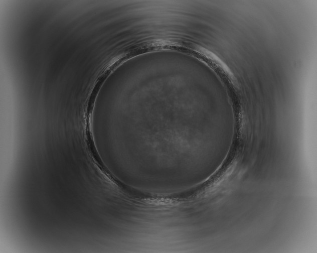 X0000093460785200710121405