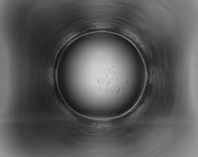 X0000093460786200710121405