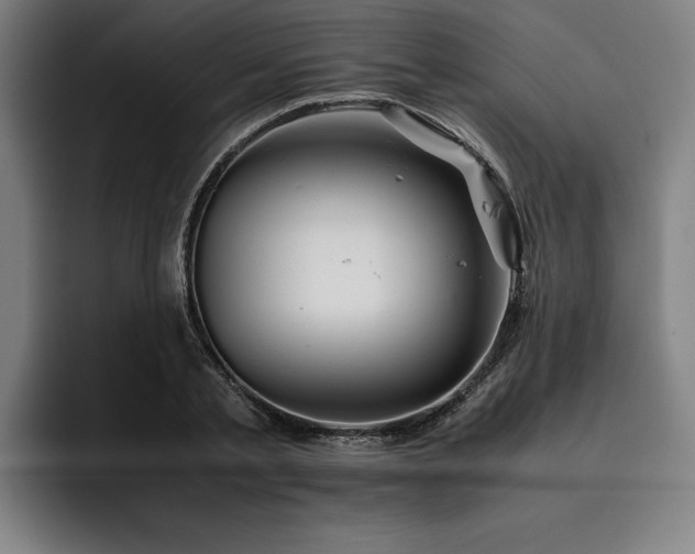 X0000093460789200710121405