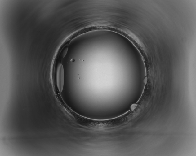 X0000093460791200710121405