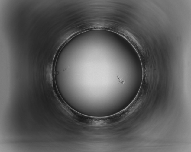 X0000093460794200710121405