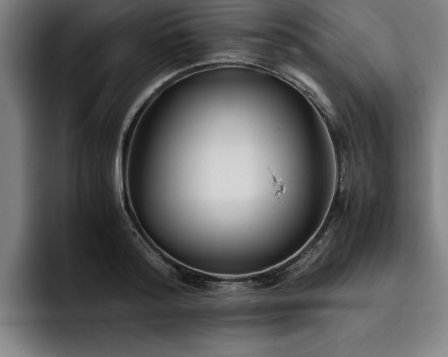 X0000093460796200710121405