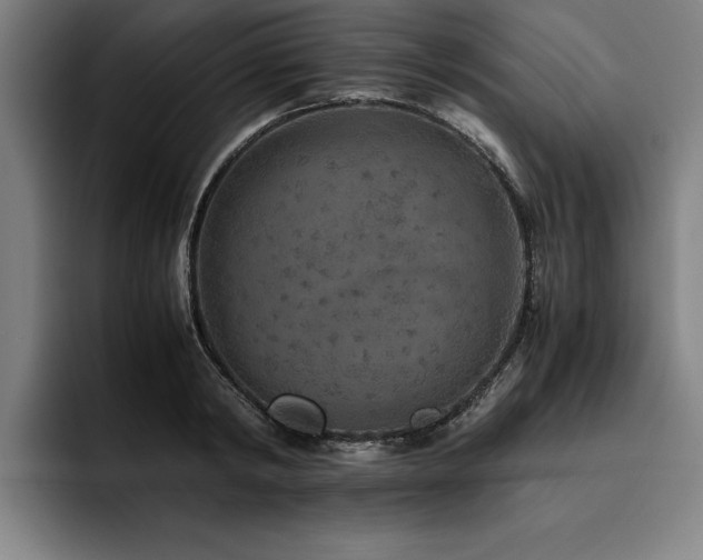 X0000093460798200710121405