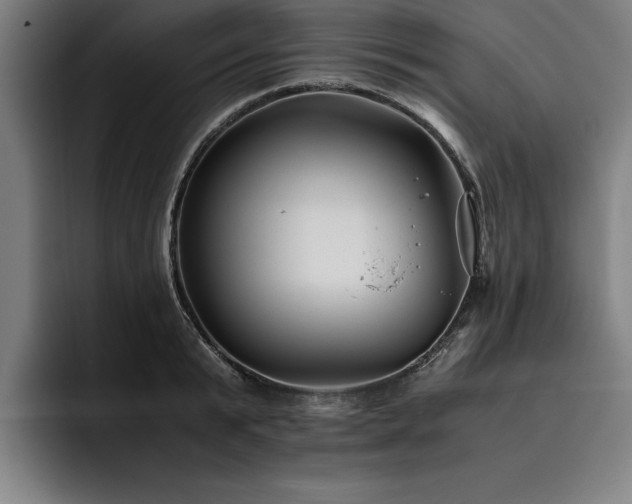 X0000093460799200710121405