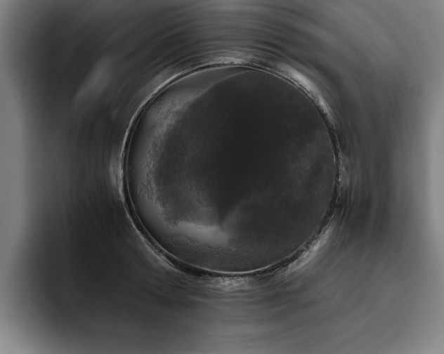 X0000093460802200710121405