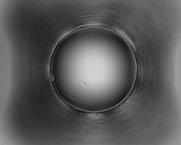 X0000093460805200710121405