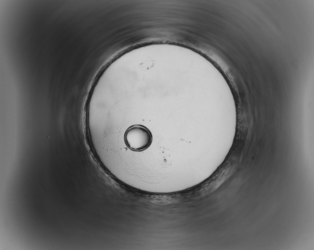 X0000093460807200710121405