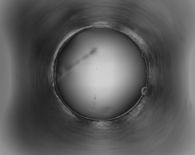 X0000093460808200710121405