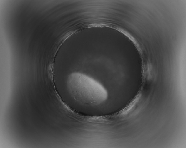 X0000093460809200710121405