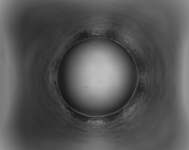 X0000093460817200710121404