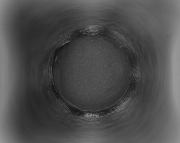 X0000093460818200710121404