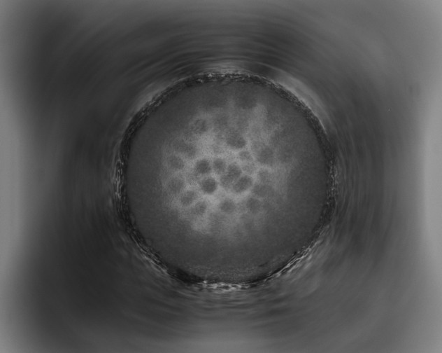 X0000093460823200710121404