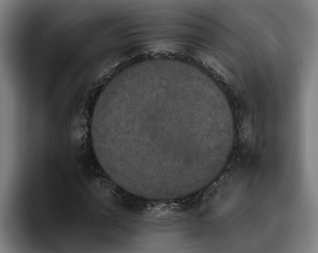 X0000093460824200710121404