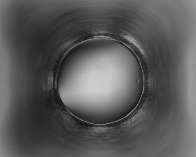 X0000093460825200710121404