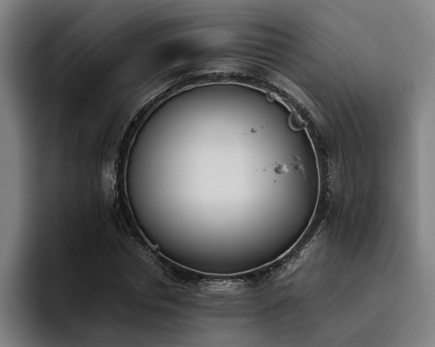 X0000093460826200710121404