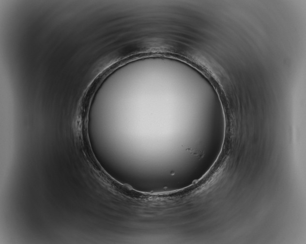 X0000093460827200710121404