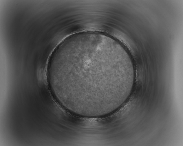 X0000093460828200710121404