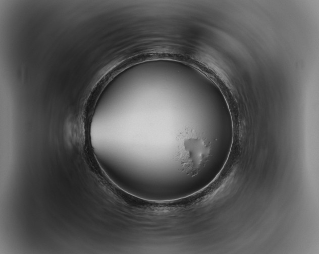 X0000093460829200710121405