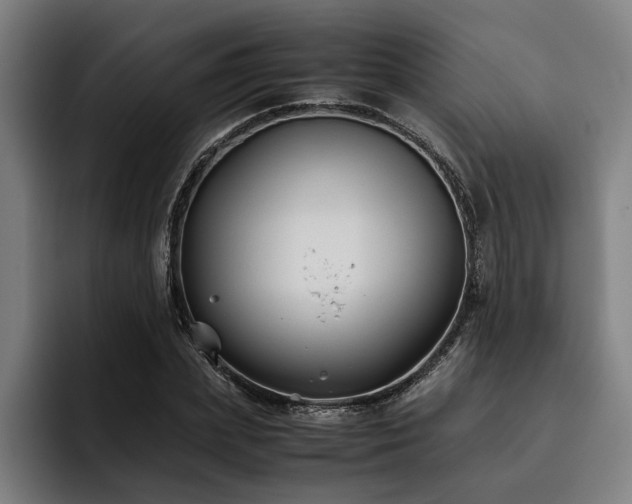 X0000093460831200710121405