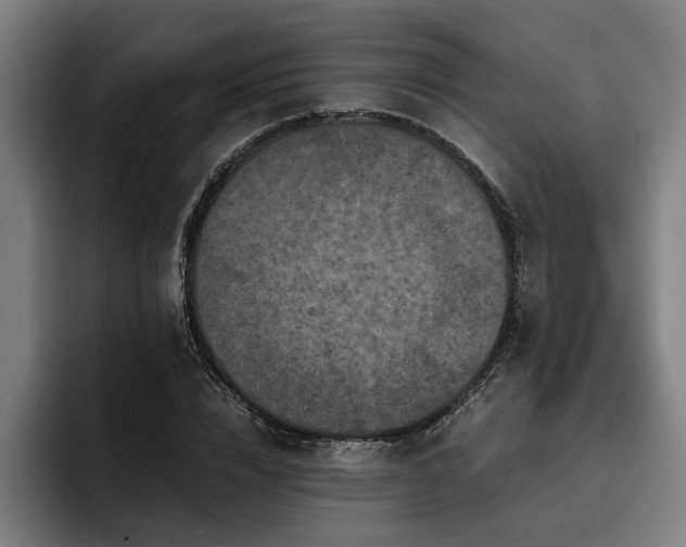 X0000093460832200710121405