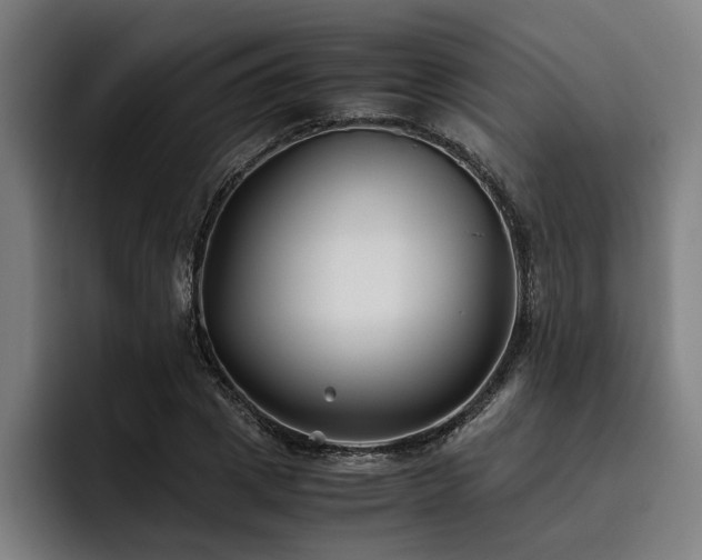 X0000093460833200710121405