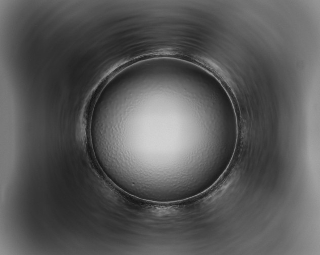 X0000093460835200710121405