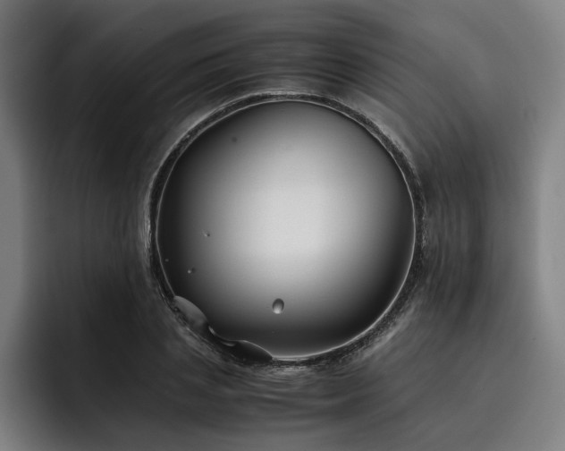 X0000093460837200710121405