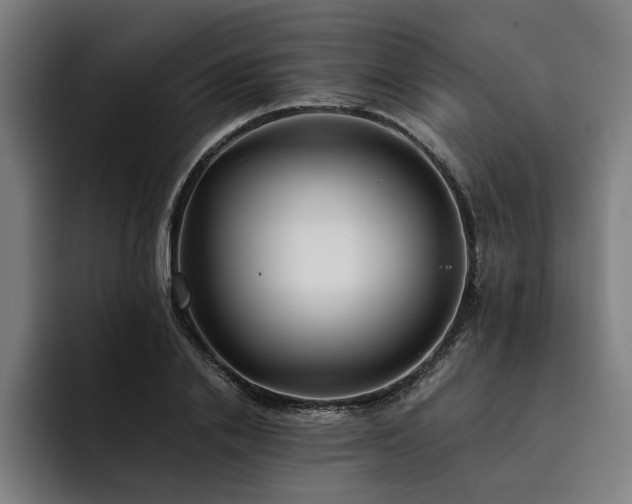 X0000093460838200710121405