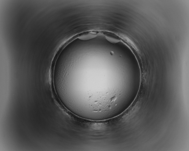 X0000093460839200710121405