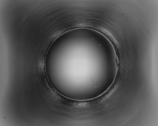 X0000093460841200710121405